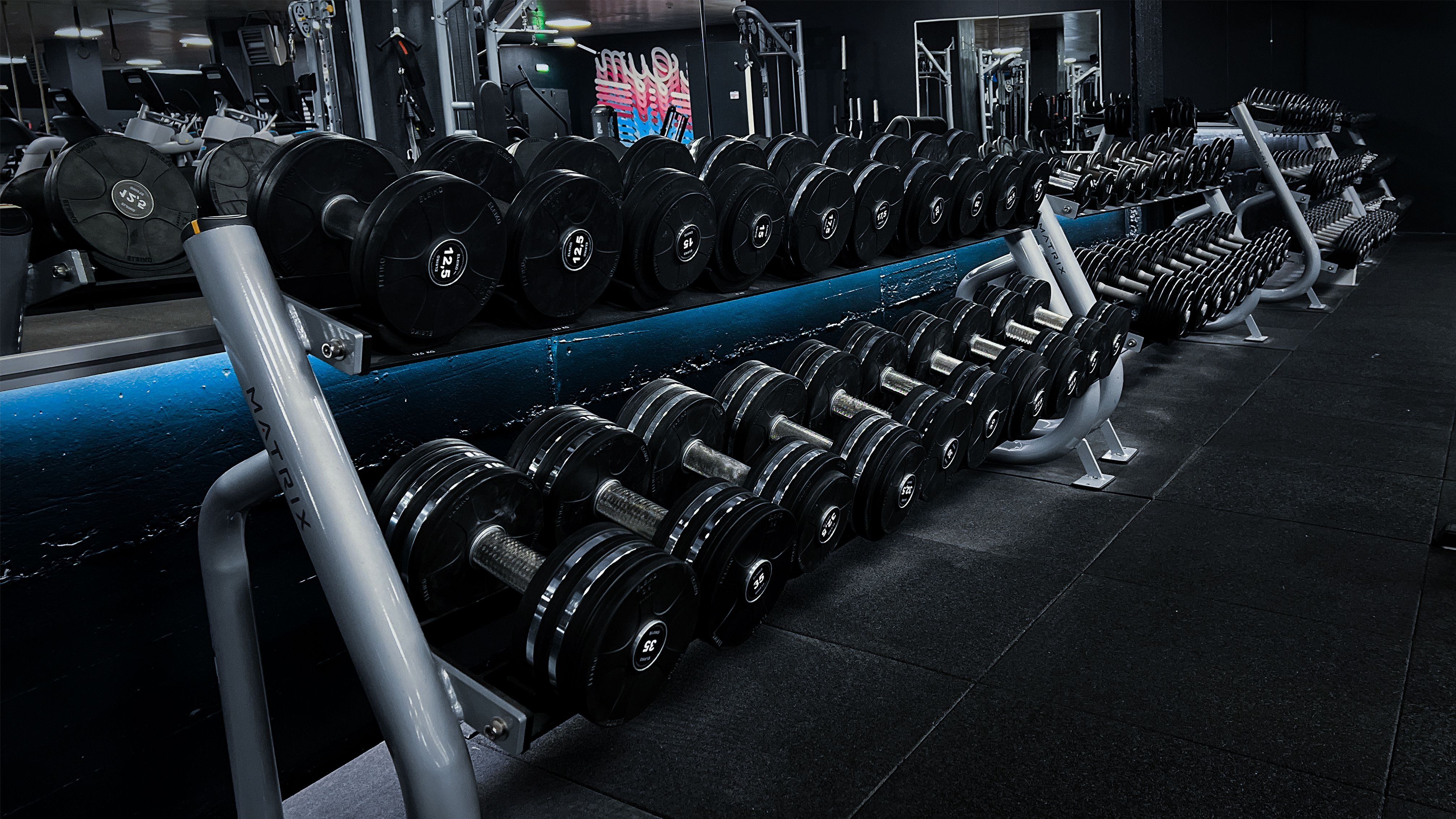 Reihen von Kurzhanteln und Powerracks im Kraftbereich des GREY GYM