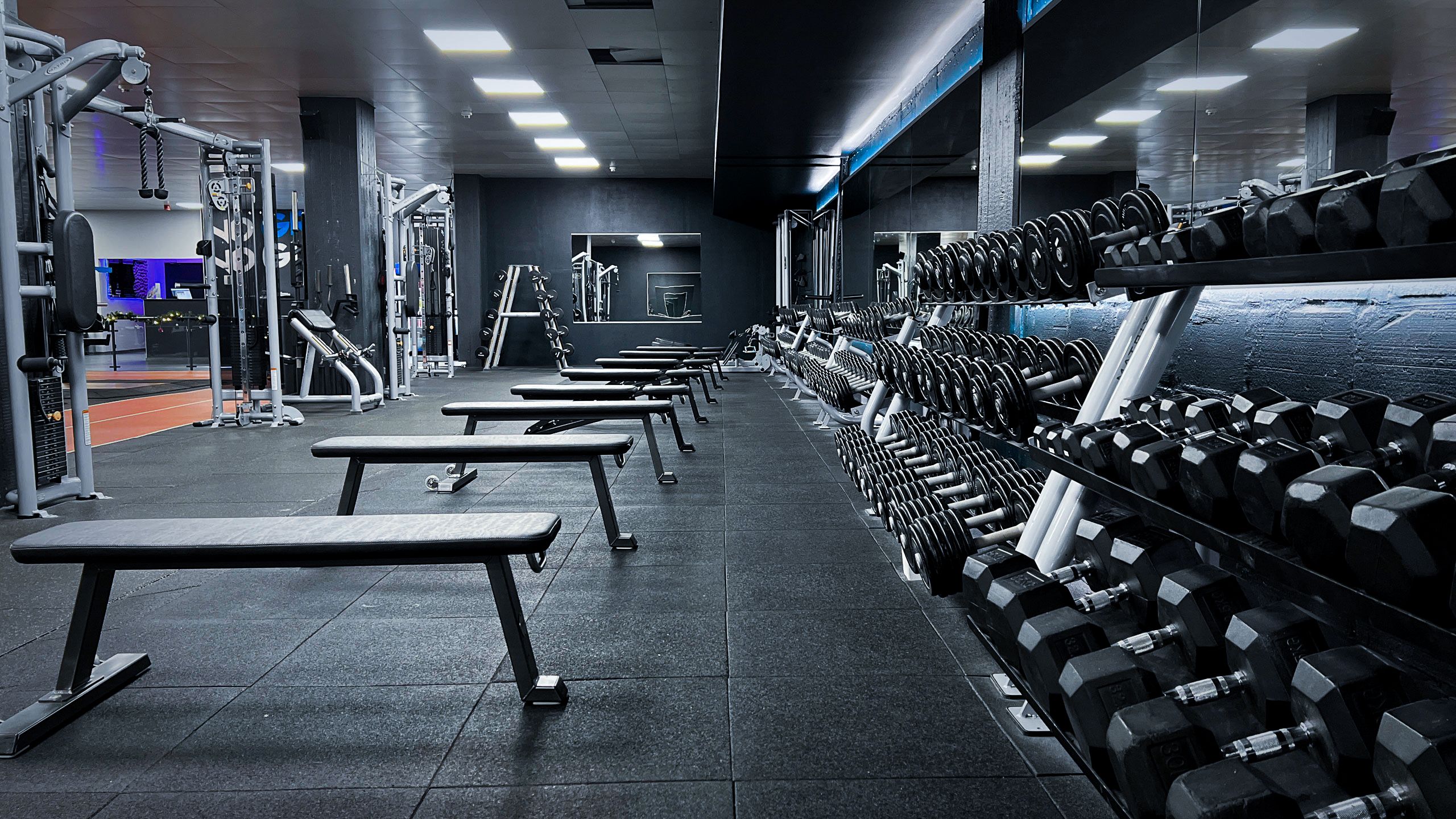 Weiter Blick über die Trainingsfläche des GREY GYM mit Hantelreihen und Bänken