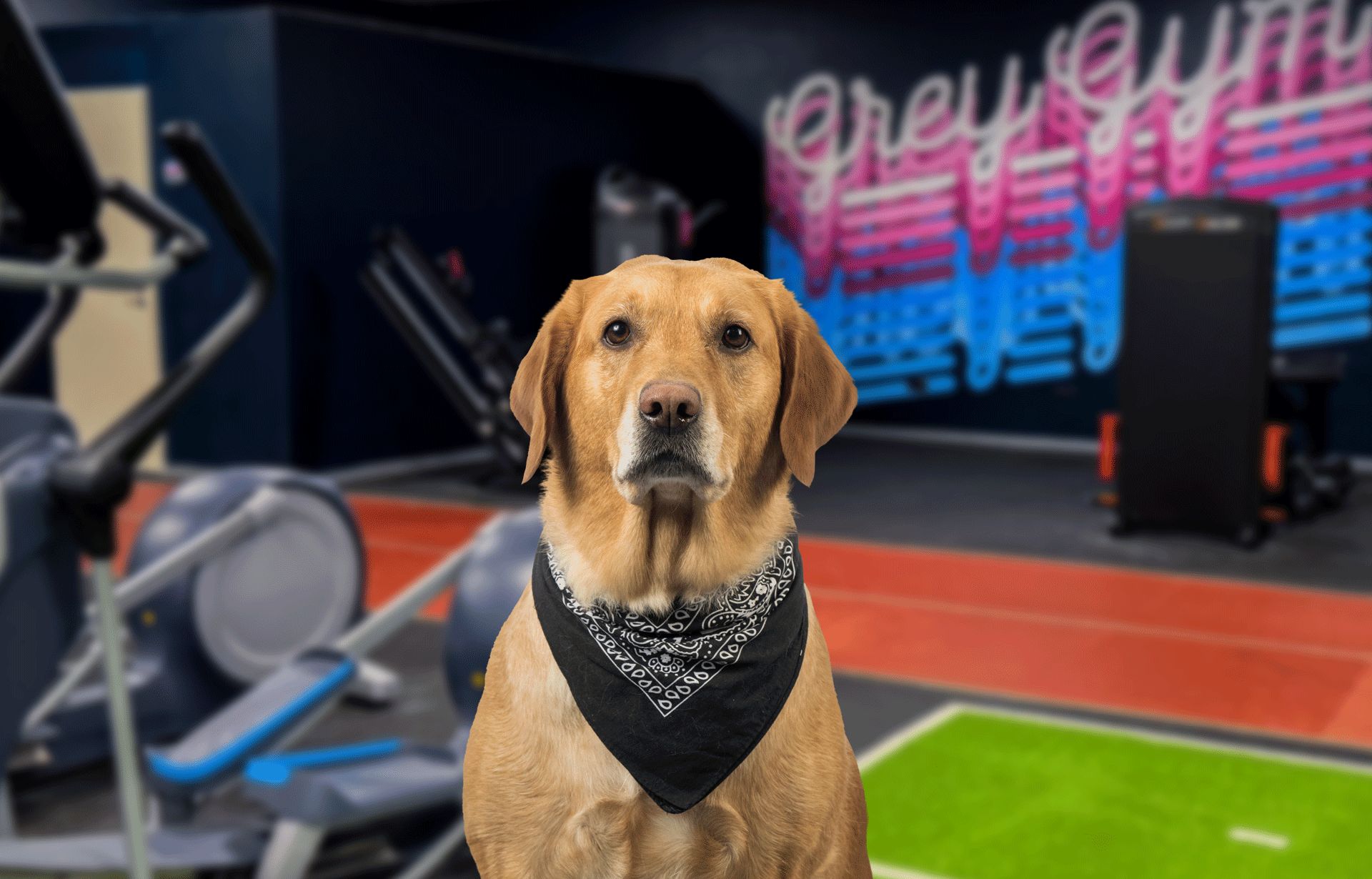 Julie, Motivations-Assistentin im GREY GYM